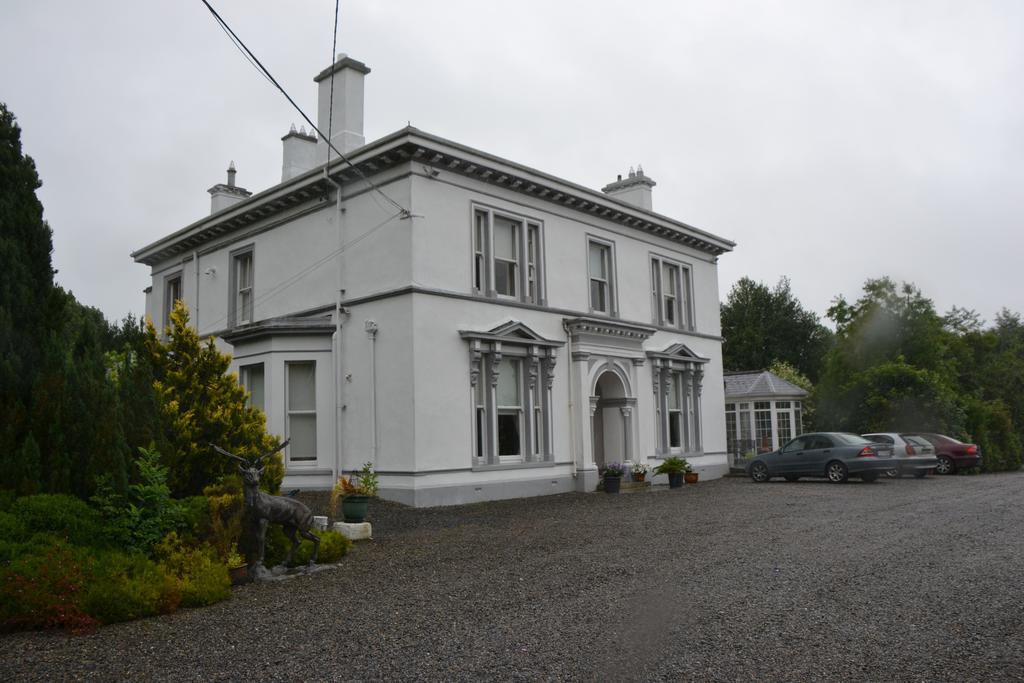 Ballinwillin House Mitchelstown Extérieur photo